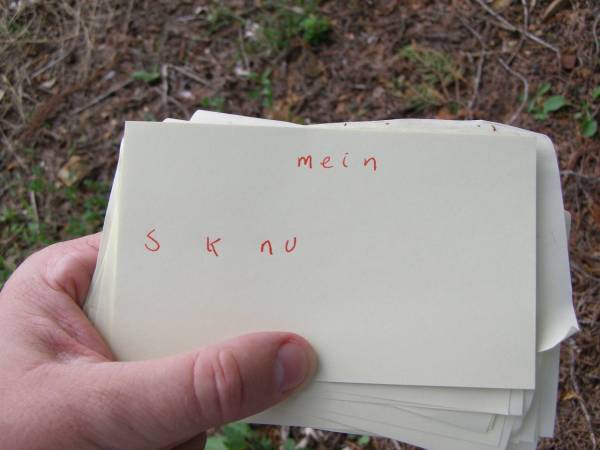     mein  | S  k  nu  | Hoya Lutheran Cemetery, Boonah Shire  |   | 