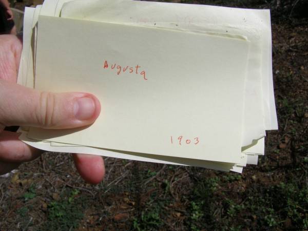 Augusta  |      1903  | Hoya Lutheran Cemetery, Boonah Shire  |   | 