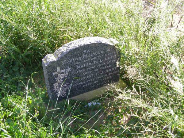 Maria B.L. DODT, mother,  | died 23 June 1910 aged 32 years;  | August F.J. DODT, father,  | died 26 March 1957 aged 84 years;  | Ingoldsby Lutheran cemetery, Gatton Shire  | 