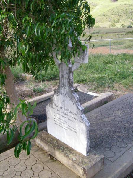 Franke SPRENGER, son brother,  | born 10 June 1903 died 17 July 1926;  | Ingoldsby Lutheran cemetery, Gatton Shire  | 