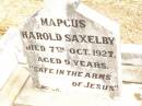 
Marcus Harold SAXELBY,
died 7 Oct 1927 aged 9 years;
Jandowae Cemetery, Wambo Shire
