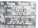 
David Owen ANDREW,
husband father grandfather,
died 4 Feb 1976 aged 65 years;
Mabel Hilda,
mother grandmother,
died 22 Jan 1989 aged 68 years 11 months;
Jandowae Cemetery, Wambo Shire
