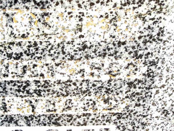 Reginald WOOLLETT,  | husband,  | died 8 Aug 1948 aged 77 years;  | Martha WOOLLETT,  | mother,  | died 17 July 1959 aged 84 years;  | Jandowae Cemetery, Wambo Shire  | 