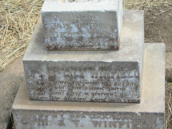 Clara Lillian WINFIELD,  | died 4 Jan 1905? aged 1 year 11 months,  | daughter of J.T. & Lily WINFIELD,  | grandaughter of C.M. & T. WINFIELD;  | Jandowae Cemetery, Wambo Shire  | 