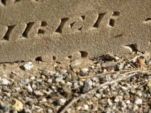 John MCNICOL,  | died Lagoon Creek 24 Dec 1886 aged 82? years;  | Jondaryan cemetery, Jondaryan Shire  | 