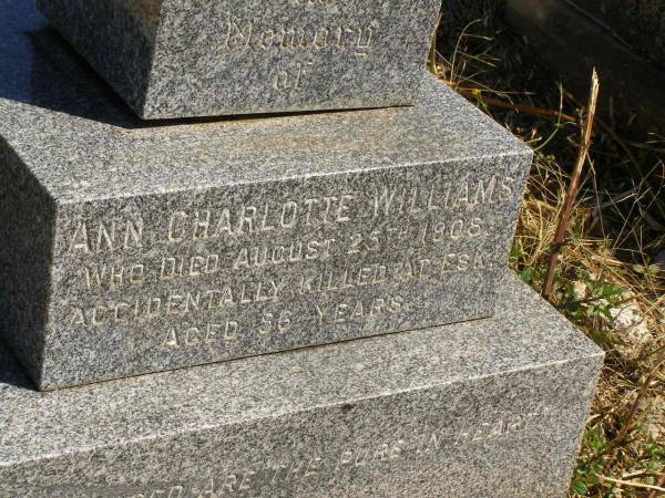 William Charles WILLIAMS,  | died 15 Nov 1913 aged 68 years;  | Ann Charlotte WILLIAMS,  | accidentally killed at Esk  | 25 Aug 1908 aged 56 years;  | Maurice Lloyd WILLIAMS,  | born 2 Feb 1884,  | accidentally killed 1 Oct 1904;  | Jondaryan cemetery, Jondaryan Shire  | 