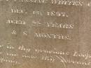 Fredreck WOCKNER,
died 2 Nov 1905 aged 66 years 9 months;
Andrew Henry WOCKNER,
born 21? April 1875,
died fatal accident passing Whites Gate
11 Dec 1897 aged 22 years & 8 months;
Jondaryan cemetery, Jondaryan Shire