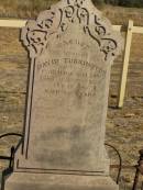 David TURKINGTON,
native of Co Armagh Ireland,
died Toowoomba 30 Jan 893 aged 46 years;
Jondaryan cemetery, Jondaryan Shire