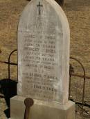 James OSHEA,
father,
died 18 June 1896 aged 75 years;
Bridget OSHEA,
mother,
died 29 Nov 1901 aged 78 years;
erected by son James OSHEA;
James OSHEA,
died 22 Aug 1925 aged 70 years;
Dennis OSHEA,
died 13 Mach 1941 aged 77 years;
Jondaryan cemetery, Jondaryan Shire
Jondaryan cemetery, Jondaryan Shire