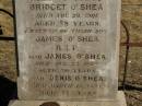 James OSHEA,
father,
died 18 June 1896 aged 75 years;
Bridget OSHEA,
mother,
died 29 Nov 1901 aged 78 years;
erected by son James OSHEA;
James OSHEA,
died 22 Aug 1925 aged 70 years;
Dennis OSHEA,
died 13 Mach 1941 aged 77 years;
Jondaryan cemetery, Jondaryan Shire