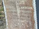 Annie Johanna QUINLAN,
died 11 March 1911;
Cornelius Denis Joseph,
son of D. & M. FLANAGAN,
died March 1922? aged 12? years;
Cornelius QUINLAN,
died 27 June 1914? aged 76 years;
Mary Elizabeth FLANAGAN,
died 20 June 1913? aged 70 years;
Daniel FLANAGAN,
died 5 March 1944 aged 71 years;
parents of L.A. FLANAGAN;
Jondaryan cemetery, Jondaryan Shire