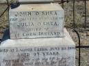John Benedict OSHEA,
died 16 Feb 1966 aged 81 years;
John OSHEA,
husband of Julia OSHEA,
native of Co Cork Ireland,
died Lagoon Creek 23 June 1898 aged 47 years;
Julia OSHEA,
relict of late John OSHEA,
native of Co Cork Ireland,
died Toowoomba 22 July 1934 aged 80 years;
Jondaryan cemetery, Jondaryan Shire
