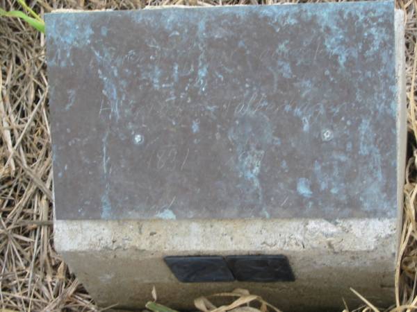                           ancestor  |   | Henry? FALKENHAGEN  | 1831 - 1902?  | erected 24-4-2000  | Engelsburg Baptist Cemetery, Kalbar, Boonah Shire  | 