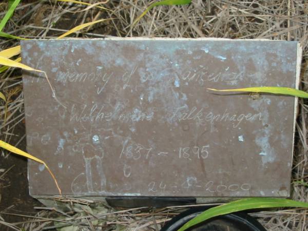 Wilhelmine FALKENHAGEN  | 1837 - 1895  | erected 24-4-2000  | Engelsburg Baptist Cemetery, Kalbar, Boonah Shire  | 