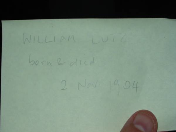 William LUTZ  | born and died 2 Nov 1904  |   | St John's Lutheran Church Cemetery, Kalbar, Boonah Shire  |   | 