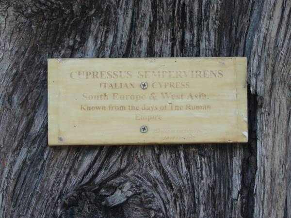 Engelsburg Methodist Pioneer Cemetery, Kalbar, Boonah Shire  | 