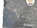 
Tony Lee BENNETT,
died 26-12-82 aged 4 years & 10 months,
missed by daddy & mummy;
Kandanga Cemetery, Cooloola Shire

