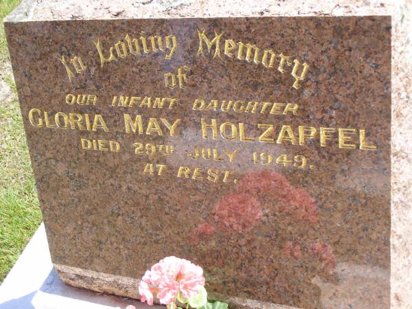 Gloria May HOLZAPFEL, infant daughter,  | died 29 July 1949;  | Kandanga Cemetery, Cooloola Shire  | 