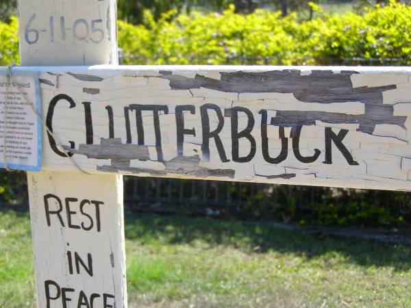 Alfred Noel (Alf) CLUTTERBUCK,  | dad poppy,  | 29-6-51 - 6-11-05;  | Kandanga Cemetery, Cooloola Shire  | 
