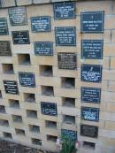 
Evelyn Rose SHEA (nee OSULLIVAN)
b: 20 Apr 1912, d: 23 Jul 1996
Theodora Mary BENSON
25 Mar 1964, aged 89
Morvyth Noelyn FOOTE
16 Sep 1975, aged 66
Sophie Regan HALSTEAD
1 Aug 1982, aged 78
Charles Michael SHANAHAN
30? May 1993
Donald Grant GORRING
16 Aug 1984, aged 49
Vida M T FOOTE
10 Oct 1977, aged 85
Joseph William COX
1 Sep 1985, aged 60
Donald Harrison BRIGGS
b: 17 Apr 1927, d: 13 Dec 2002
(father of Lorraine, Meredith, Gae, Bradley)
Ada Stockdale
(wife of Thomas Edwin, mother of Sid)
b: 14 Feb 1885, d: 24 Jun 1996, aged 111 years, 4 months
Luka ZIVKOVIC
b: 6 Feb 1929, d: 6 Apr 2002
Michelle Helen ELLIOTT
b: 16 Nov 66?, d: 25 Jan 98?
(wife of Mark, mother of Emma)
Thomas Roy MATTINGLEY
b: 20 Jan 1910, d: 14 Jan 1991
Ian Keith CUNNINGHAM
b: 27 Apr 1943, d: 6 May 1990?
Beatrice Alice ANDERSON
20 Nov 88, aged 94
Peter William BEAVERSON
b: 2 May 1955, d: 6 Jul 2002
(husband of Pamela, father of Fiona, son of Daniel and Kathleen, brother of Anne
Alexcea Enid ANDERSON
1993?

St Marys Anglican Church, Kangaroo Point, Brisbane
