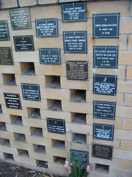 Evelyn Rose SHEA (nee O'SULLIVAN)  | b: 20 Apr 1912, d: 23 Jul 1996  | Theodora Mary BENSON  | 25 Mar 1964, aged 89  | Morvyth Noelyn FOOTE  | 16 Sep 1975, aged 66  | Sophie Regan HALSTEAD  | 1 Aug 1982, aged 78  | Charles Michael SHANAHAN  | 30? May 1993  | Donald Grant GORRING  | 16 Aug 1984, aged 49  | Vida M T FOOTE  | 10 Oct 1977, aged 85  | Joseph William COX  | 1 Sep 1985, aged 60  | Donald Harrison BRIGGS  | b: 17 Apr 1927, d: 13 Dec 2002  | (father of Lorraine, Meredith, Gae, Bradley)  | Ada Stockdale  | (wife of Thomas Edwin, mother of Sid)  | b: 14 Feb 1885, d: 24 Jun 1996, aged 111 years, 4 months  | Luka ZIVKOVIC  | b: 6 Feb 1929, d: 6 Apr 2002  | Michelle Helen ELLIOTT  | b: 16 Nov 66?, d: 25 Jan 98?  | (wife of Mark, mother of Emma)  | Thomas Roy MATTINGLEY  | b: 20 Jan 1910, d: 14 Jan 1991  | Ian Keith CUNNINGHAM  | b: 27 Apr 1943, d: 6 May 1990?  | Beatrice Alice ANDERSON  | 20 Nov 88, aged 94  | Peter William BEAVERSON  | b: 2 May 1955, d: 6 Jul 2002  | (husband of Pamela, father of Fiona, son of Daniel and Kathleen, brother of Anne  | Alexcea Enid ANDERSON  | 1993?  |   | St Mary's Anglican Church, Kangaroo Point, Brisbane  | 