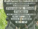 Frederick Henry PALMER,
father father-in-law grandfather,
accidentally killed 9 May 1968 aged 55 years;
Pearl Margaret PALMER,
mother mother-in-law grandmother,
died 30 Nov 1969 aged 49 years;
Kilkivan cemetery, Kilkivan Shire