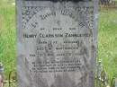 Henry Clarkson ZAHNLEITER,
son,
born Kilkivan,
died Maryborough 21 Feb 1901 aged 31 years;
Kilkivan cemetery, Kilkivan Shire