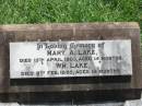 Mary A. LAKE,
died 15 April 1903 aged 14 months;
Wm. LAKE,
died 5 Feb 1895 aged 14 months;
Kilkivan cemetery, Kilkivan Shire