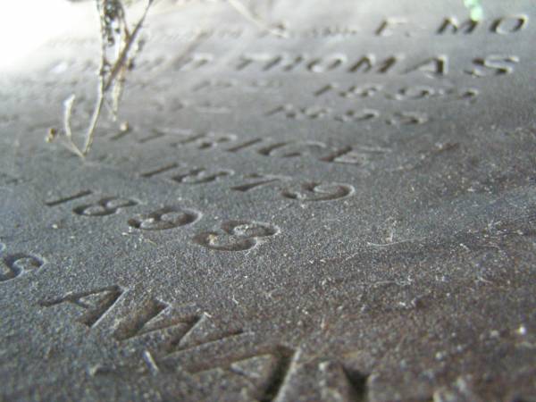 Lily,  | wife of Alexander E. JONES,  | died 6 Feb 1922 aged 33 years,  | erected by husband & children;  | [face down stone]  | children of E. & A. MORGAN,  | Harold Thomas,  | born 12 Aug 1892,  | died 23 Jan 1893;  | Jessie Beatrice,  | born 2? Aug 1879,  | died 6 June 1898;  | Florence Emily,  | born 30 July ????,  | died 7 June 1898;  | Killarney cemetery, Warwick Shire  | 