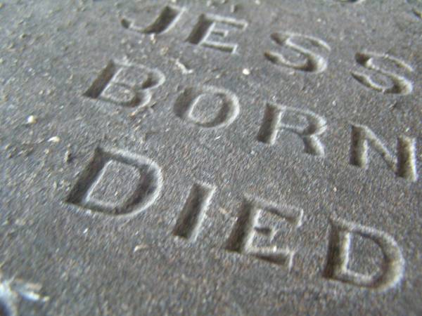 Lily,  | wife of Alexander E. JONES,  | died 6 Feb 1922 aged 33 years,  | erected by husband & children;  | [face down stone]  | children of E. & A. MORGAN,  | Harold Thomas,  | born 12 Aug 1892,  | died 23 Jan 1893;  | Jessie Beatrice,  | born 2? Aug 1879,  | died 6 June 1898;  | Florence Emily,  | born 30 July ????,  | died 7 June 1898;  | Killarney cemetery, Warwick Shire  | 