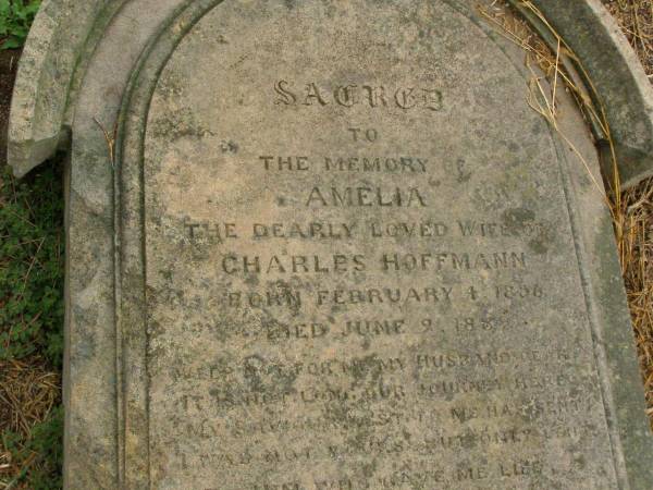 Amelia,  | wife of Charles HOFFMANN,  | born 4 Feb 1856,  | died 9 June 1889;  | Killarney cemetery, Warwick Shire  | 