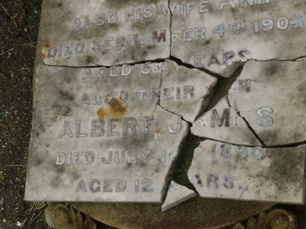 William John SHEPPARD,  | died 23 Aug 1903 aged 64 years;  | Ann,  | wife,  | died 4 Sept 1903 aged 55? years;  | Albert James,  | son,  | died 10? July 1890 aged 12 years;  | erected by daughter Elesia Ann SHEPPARD;  | Killarney cemetery, Warwick Shire  | 