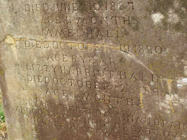 Mary,  | wife of Joseph HALL,  | died 15 Dec 1895 aged 39 years;  | children;  | Alice HALL,  | died 10 June 1887 aged 4 months;  | James HALL,  | died 19 Oct 1890 aged 8 years;  | Lizzy Harriot HALL,  | died 23 Oct 1895 aged 8 months;  | Killarney cemetery, Warwick Shire  | 