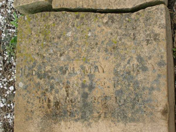 John CAREY junr,  | born 26 March 1866,  | died 25 Aug 1901 aged 35 years;  | Paul CAREY,  | aged 8 months;  | Walter CAREY,  | aged 79? years;  | Jane May CAREY,  | died 20 Jan? 1894 aged 74? years;  | Killarney cemetery, Warwick Shire  | 