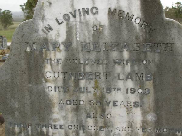Mary Elizabeth,  | wife of Cuthbert LAMB,  | died 15 July 1903 aged 39 years;  | three children;  | Mary JONES,  | mother,  | died 25 June 1892 aged 59 years;  | Cuthbert LAMB,  | father,  | died 8 Sept 1954 aged 92 years;  | Dina Isabella LAMB,  | sister,  | died 22 Sept 1974 aged 85 years;  | Killarney cemetery, Warwick Shire  | 