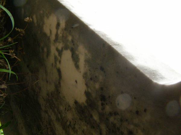 Thomas LAMB,  | husband of Susannah LAMB,  | died 21 Feb 1902 aged 74 years;  | [rest of headstone face down];  | Killarney cemetery, Warwick Shire  | 