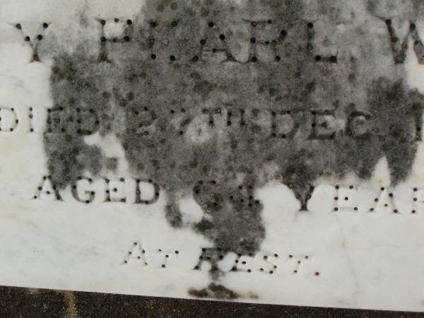 William J. WARE,  | husband father,  | died 30 Nov 1951 aged 55 years;  | Ivy Pearl WARE,  | mother,  | died 27 Dec 1965 aged 64 years;  | Killarney cemetery, Warwick Shire  | 