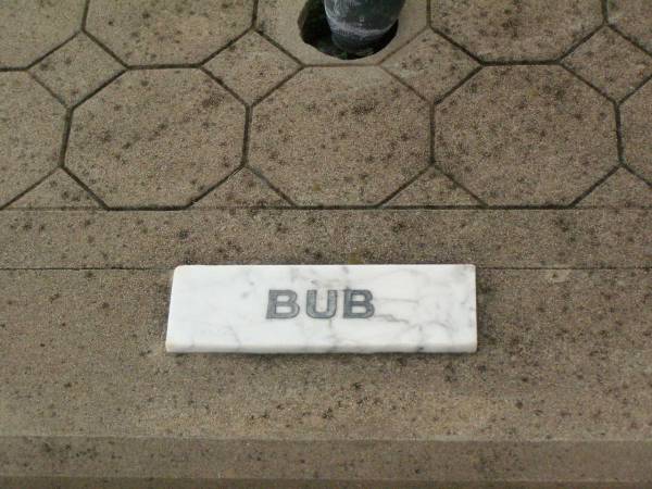 Beryl Lee (Bub) MORRIS,  | daughter,  | died 16 Jan 1985 aged 17 years;  | Killarney cemetery, Warwick Shire  | 