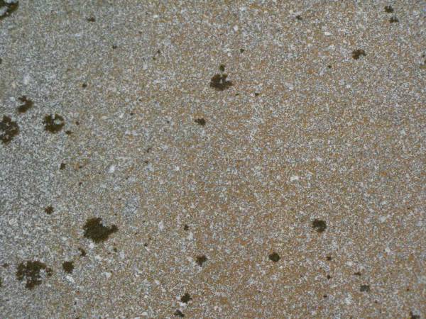 [headstone face down];  | Killarney cemetery, Warwick Shire  | 