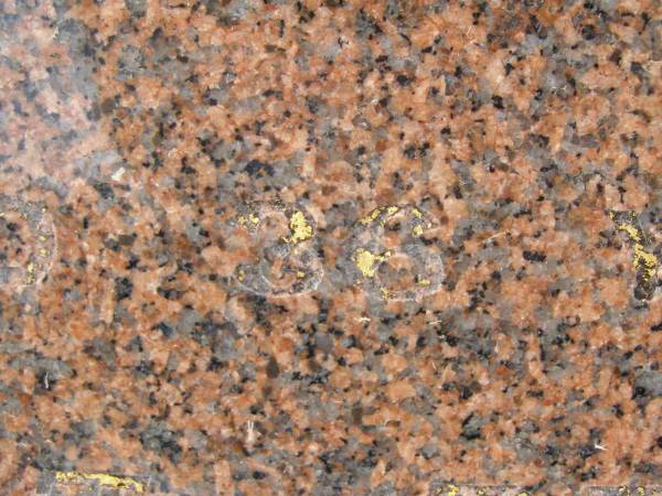 Colin C. MADSEN,  | husband,  | died 16 Oct 1967 aged 36 years;  | Killarney cemetery, Warwick Shire  | 