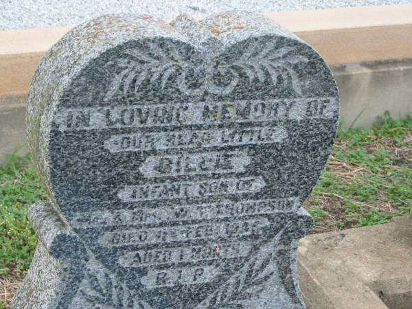 Billie,  | infant son of Mr & Mrs W.T. THOMPSON,  | died 11 Feb 1948? aged 1 month;  | J.D. THOMPSON,  | died 3-8-42 aged 28 years;  | Killarney cemetery, Warwick Shire  | 