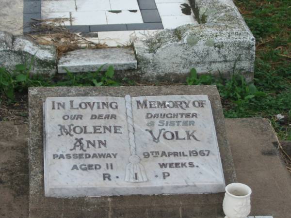 Nolene Ann VOLK,  | daughter sister,  | died 9 April 1967 aged 11 weeks;  | Killarney cemetery, Warwick Shire  | 