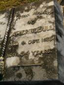 
George BULL,
died 26 Dec 1914 aged 52 years;
Catherine BULL,
died 9 Oct 1918 aged 54 years;
Ivy BULL,
died 10 Aug 1917 aged 20 years;
Killarney cemetery, Warwick Shire
