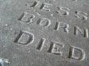 
Lily,
wife of Alexander E. JONES,
died 6 Feb 1922 aged 33 years,
erected by husband & children;
[face down stone]
children of E. & A. MORGAN,
Harold Thomas,
born 12 Aug 1892,
died 23 Jan 1893;
Jessie Beatrice,
born 2? Aug 1879,
died 6 June 1898;
Florence Emily,
born 30 July ????,
died 7 June 1898;
Killarney cemetery, Warwick Shire
