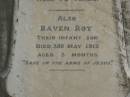 
Sarah,
wife of George BRADFORD,
born County Down Ireland 16 July 1846,
died 27 March 1911 aged 65 years;
George BRADFORD,
died 24 Dec 1930 aged 87 years;
Georgina,
wife of Raven G. BRADFORD,
died 11 Feb 1912 aged 19 years;
Raven Roy,
infant son,
died 3 May 1912 aged 3 months;
Killarney cemetery, Warwick Shire
