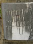 
Theophilus HOWELL,
died 11 March 1902 aged 77 years,
born in Wales,
lived in Qld 50 years;
Anne HOWELL,
wife,
died 13 Jan 1927 in 85th year,
residing in Qld 74 years;
Joseph Charles HOWELL,
born Killarney 24-10-1872,
died Brisbane 11-3-1940,
buried Toowong;
William Arthur Melrose Octavius,
son of Theophilus & Ann HOWELL of this place,
died 1 April 1881 aged 11 months 11 days;
Anna Douglas,
wife of T.J. HOWELL Melrose,
died 7 Oct 1928 aged 66 years;
Theophilus John HOWELL,
born Fassifern Qld 15 July 1862,
died Bordertown SA 17 Dec 1935;
Archibald Dunbar HOWELL,
born 17 July 1905,
died 25 March 1934;
Aisla Grace HOWELL,
born 8 Oct 1910,
died 8 Aug 1911;
Killarney cemetery, Warwick Shire
