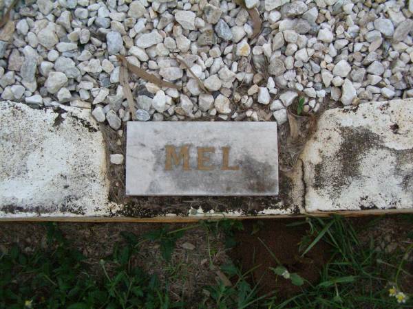 Melvyn Joseph BUCKLEY,  | son brother,  | died 25-2-1953 aged 13 years 7 months;  | Lawnton cemetery, Pine Rivers Shire  | 