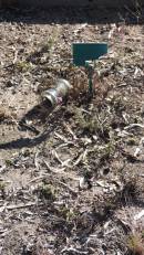 

Leyburn Cemetery
\000
