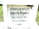
Mervyn STAATZ,
died 17 Dec 1931;
Lockrose Green Pastures Lutheran Cemetery, Laidley Shire
