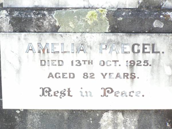 Karl Wilhelm PAEGEL,  | died 13 Dec 1927 aged 88 years;  | Amelia PAEGEL,  | died 13 Oct 1925 aged 82 years;  | Lockrose Green Pastures Lutheran Cemetery, Laidley Shire  | 